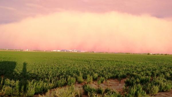 arizona-dust-storm-7-3-2014